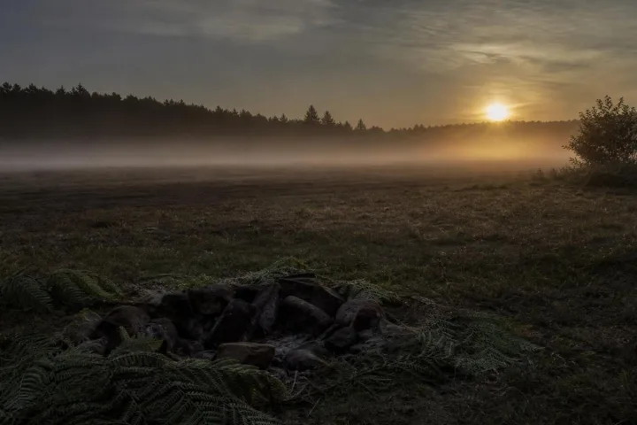 Campo vuoto all’alba con felci e un vecchio braciere spento