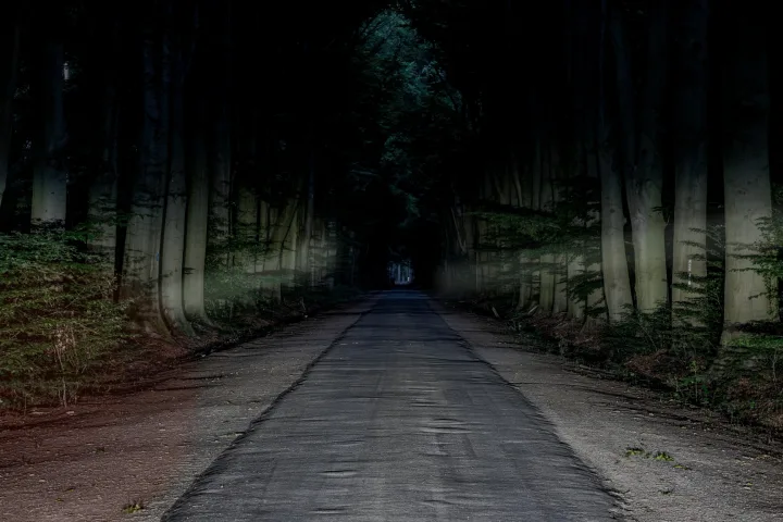 Strada notturna tra gli alberi con fasci di luce e ombre ferme ai bordi